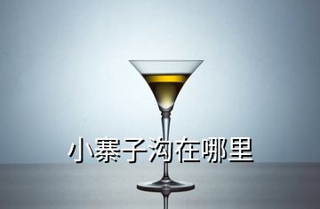 小寨子溝在哪里