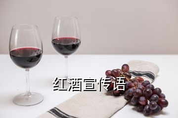 紅酒宣傳語(yǔ)