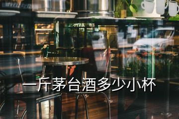 一斤茅臺(tái)酒多少小杯