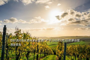 你好請問有關貴州茅臺窖酒廠產(chǎn)于1995年6月2日的茅臺窖酒是真有