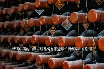 請(qǐng)問(wèn)中國(guó)的白酒二線品牌有哪些幫忙請(qǐng)例舉出來(lái)謝謝