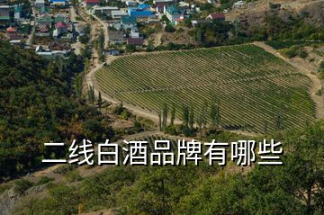 二線白酒品牌有哪些