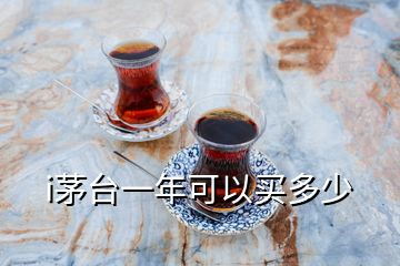 i茅臺一年可以買多少