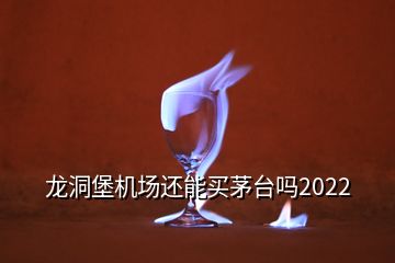 龍洞堡機場還能買茅臺嗎2022