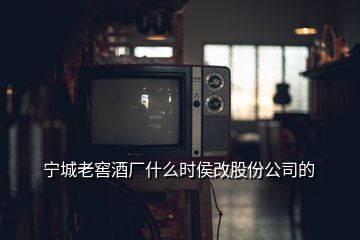 寧城老窖酒廠什么時侯改股份公司的