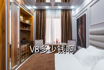 V8多少錢啊