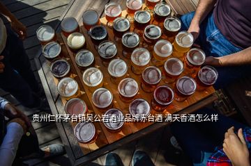 貴州仁懷茅臺鎮(zhèn)吳公巖酒業(yè)品牌赤臺酒 滿天香酒怎么樣