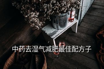 中藥去濕氣減肥最佳配方子