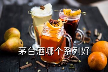 茅臺(tái)酒哪個(gè)系列好