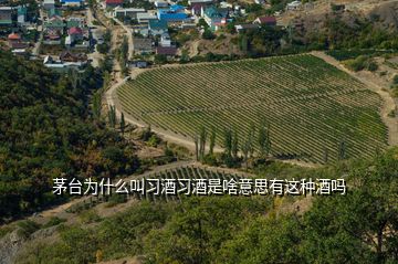 茅臺為什么叫習酒習酒是啥意思有這種酒嗎