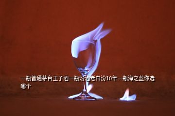 一瓶普通茅臺王子酒一瓶汾酒老白汾10年一瓶海之藍你選哪個