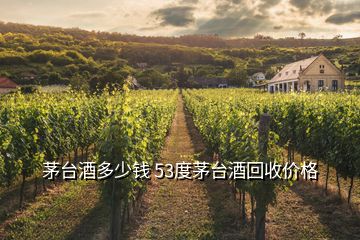 茅臺(tái)酒多少錢 53度茅臺(tái)酒回收價(jià)格