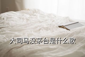 大司馬沒茅臺是什么歌