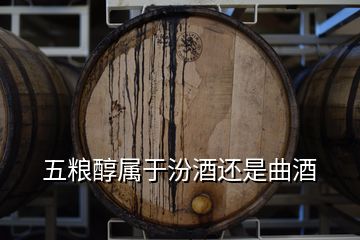 五糧醇屬于汾酒還是曲酒