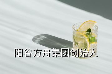陽谷方舟集團創(chuàng)始人