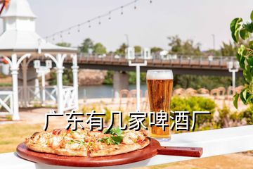 廣東有幾家啤酒廠