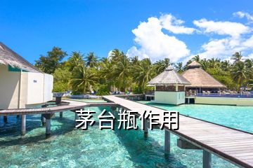茅臺瓶作用