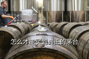 怎么才能買(mǎi)到真正的茅臺(tái)