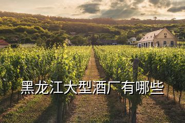 黑龍江大型酒廠有哪些