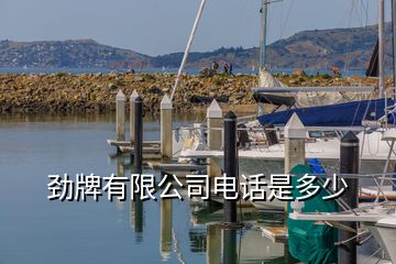 勁牌有限公司電話是多少