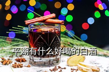 平湖有什么好喝的白酒