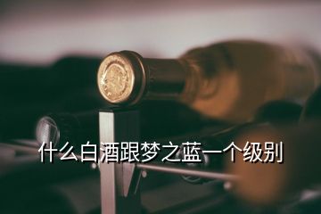 什么白酒跟夢之藍(lán)一個(gè)級別