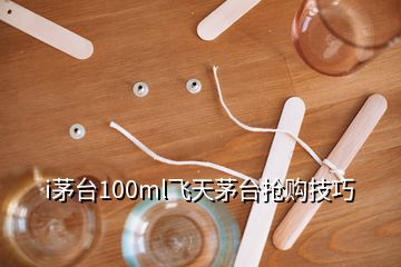 i茅臺100ml飛天茅臺搶購技巧