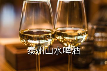 泰州山水啤酒