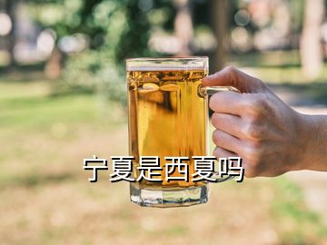 寧夏是西夏嗎