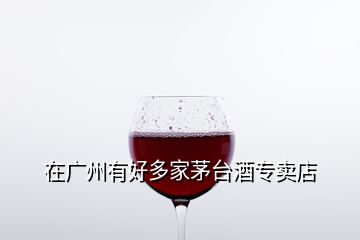 在廣州有好多家茅臺(tái)酒專(zhuān)賣(mài)店