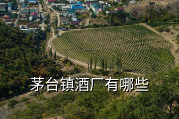 茅臺(tái)鎮(zhèn)酒廠有哪些