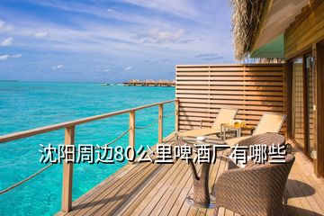 沈陽周邊80公里啤酒廠有哪些