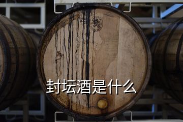 封壇酒是什么