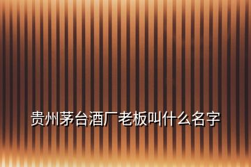 貴州茅臺酒廠老板叫什么名字