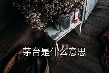 茅臺是什么意思