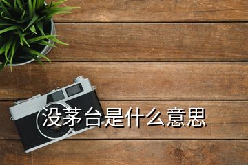 沒(méi)茅臺(tái)是什么意思