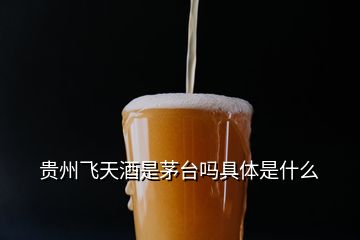 貴州飛天酒是茅臺(tái)嗎具體是什么