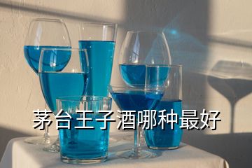 茅臺王子酒哪種最好