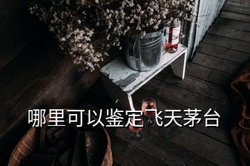 哪里可以鑒定飛天茅臺(tái)