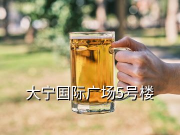 大寧國際廣場5號樓