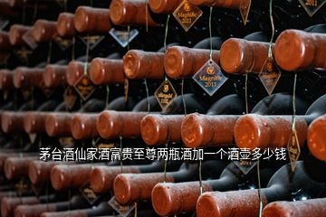 茅臺(tái)酒仙家酒富貴至尊兩瓶酒加一個(gè)酒壺多少錢