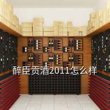 醉臣貢酒2011怎么樣