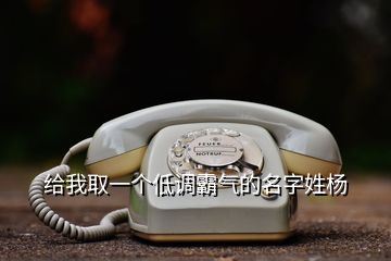 給我取一個(gè)低調(diào)霸氣的名字姓楊