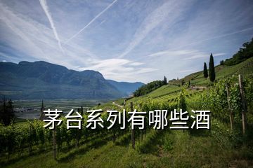 茅臺系列有哪些酒