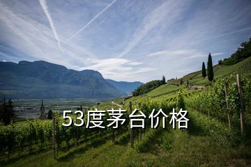 53度茅臺價格