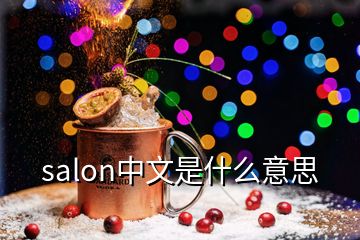 salon中文是什么意思