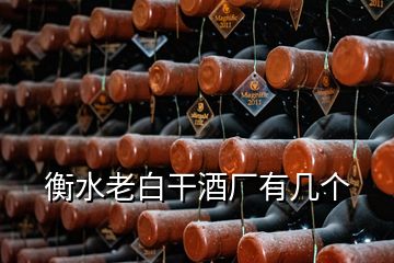 衡水老白干酒廠有幾個