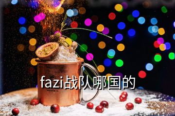 fazi戰(zhàn)隊哪國的