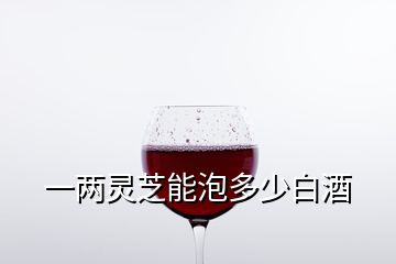 一兩靈芝能泡多少白酒