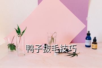 鴨子拔毛技巧